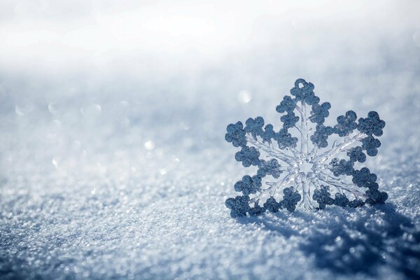 Makro Schneeflocke im Winter in der Natur