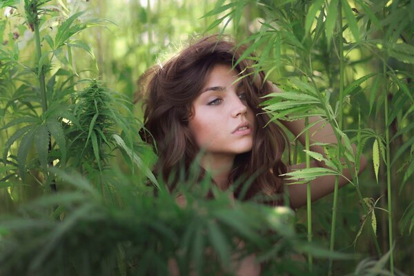 Photo de la jeune fille dans les broussailles vertes de l herbe