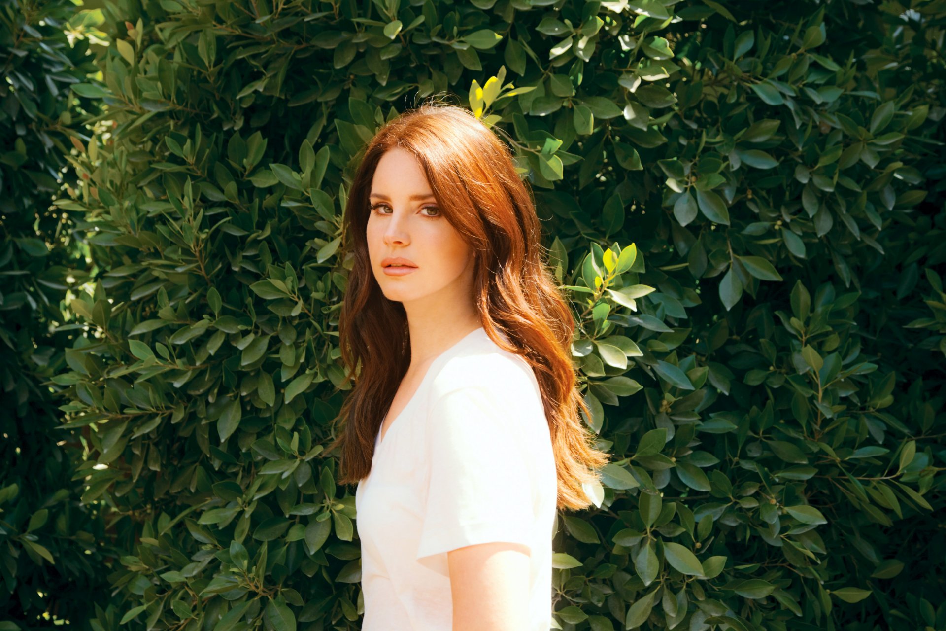 lana del rey elizabeth woolridge grant elizabeth woolridge grant cantante ragazza capelli lungo rosso sfondo foglie