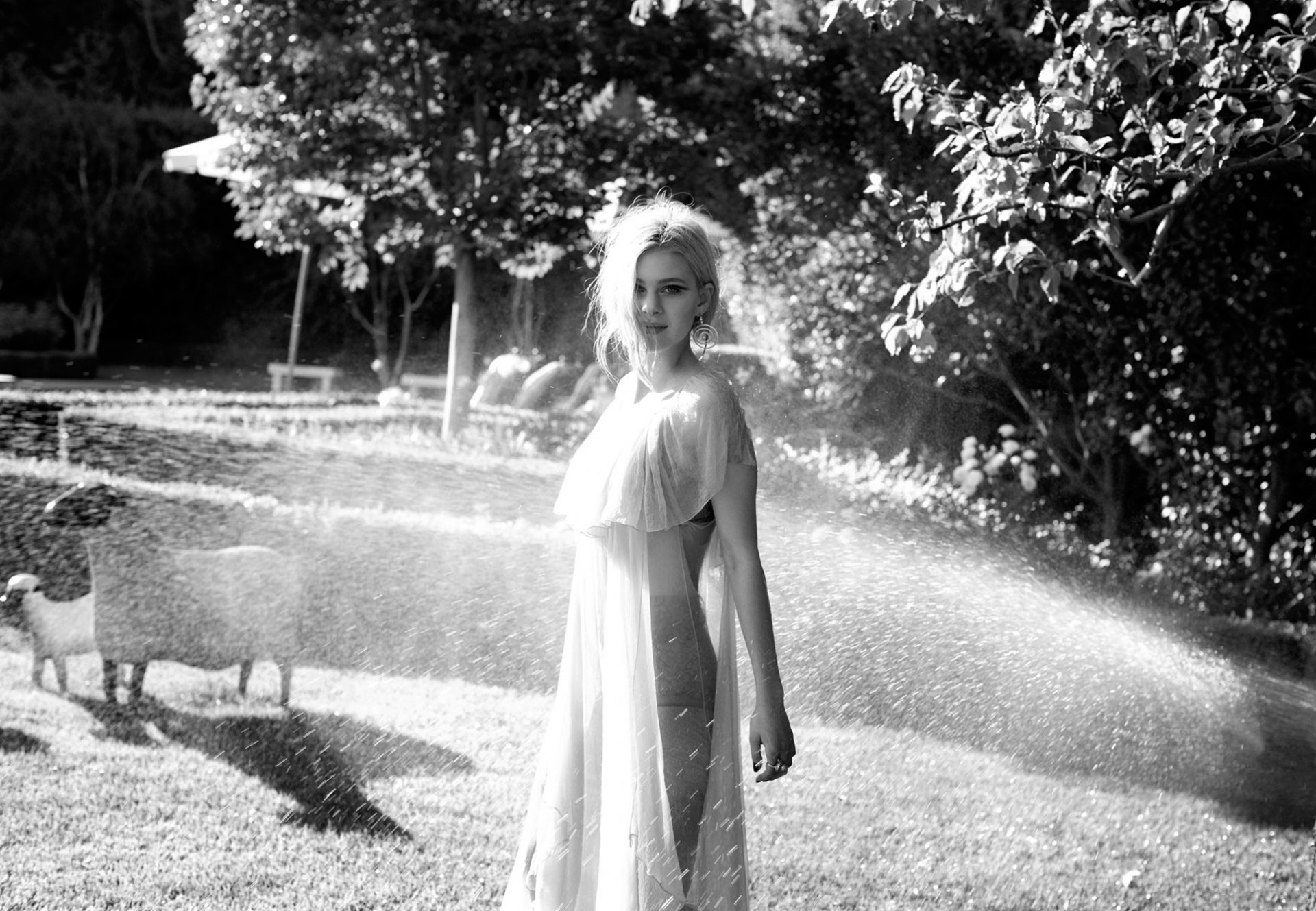 peltz chb séance photo violet gris