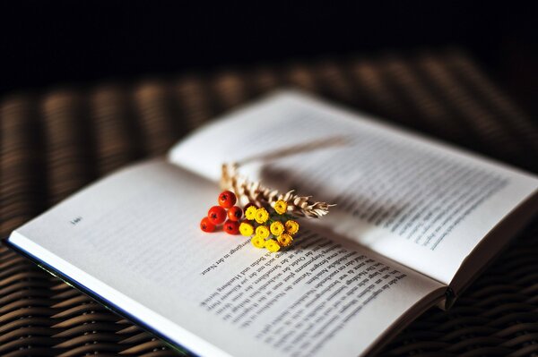 Fleurs et épis sur la page ouverte du livre