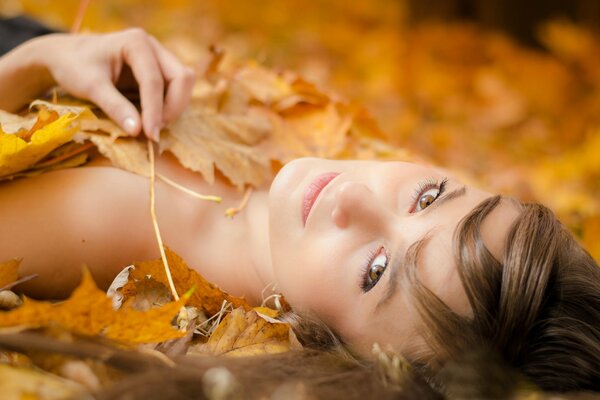 Photo shoot in autumn girl in leaves