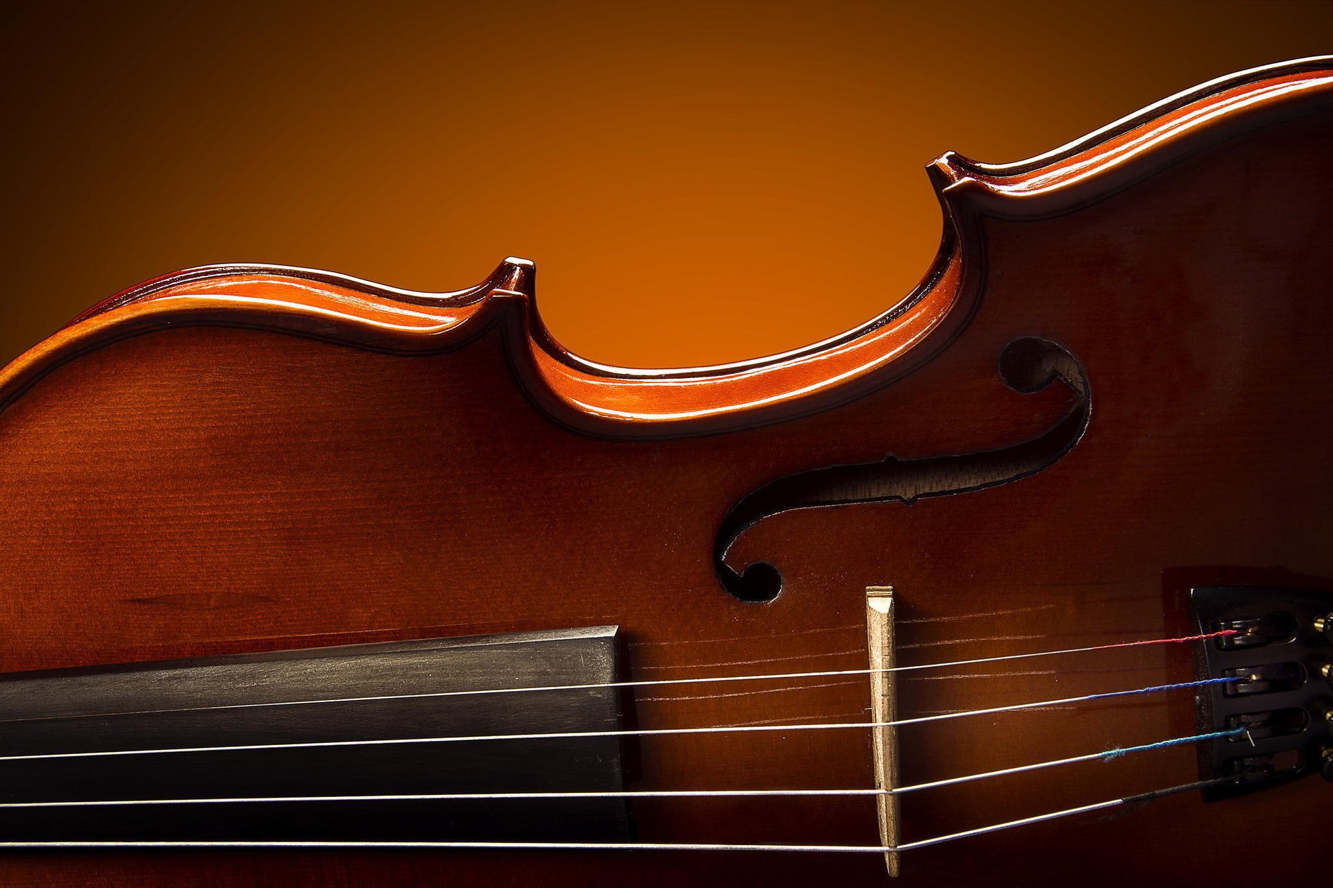 royal violin brokat skrzypce lakier makro