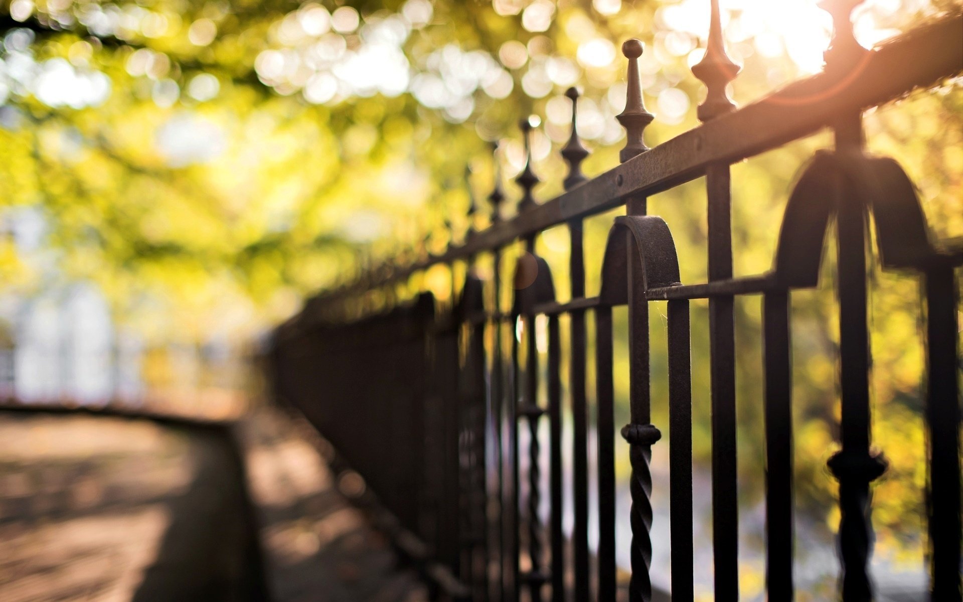 macro fencing background fence blur trees bokeh