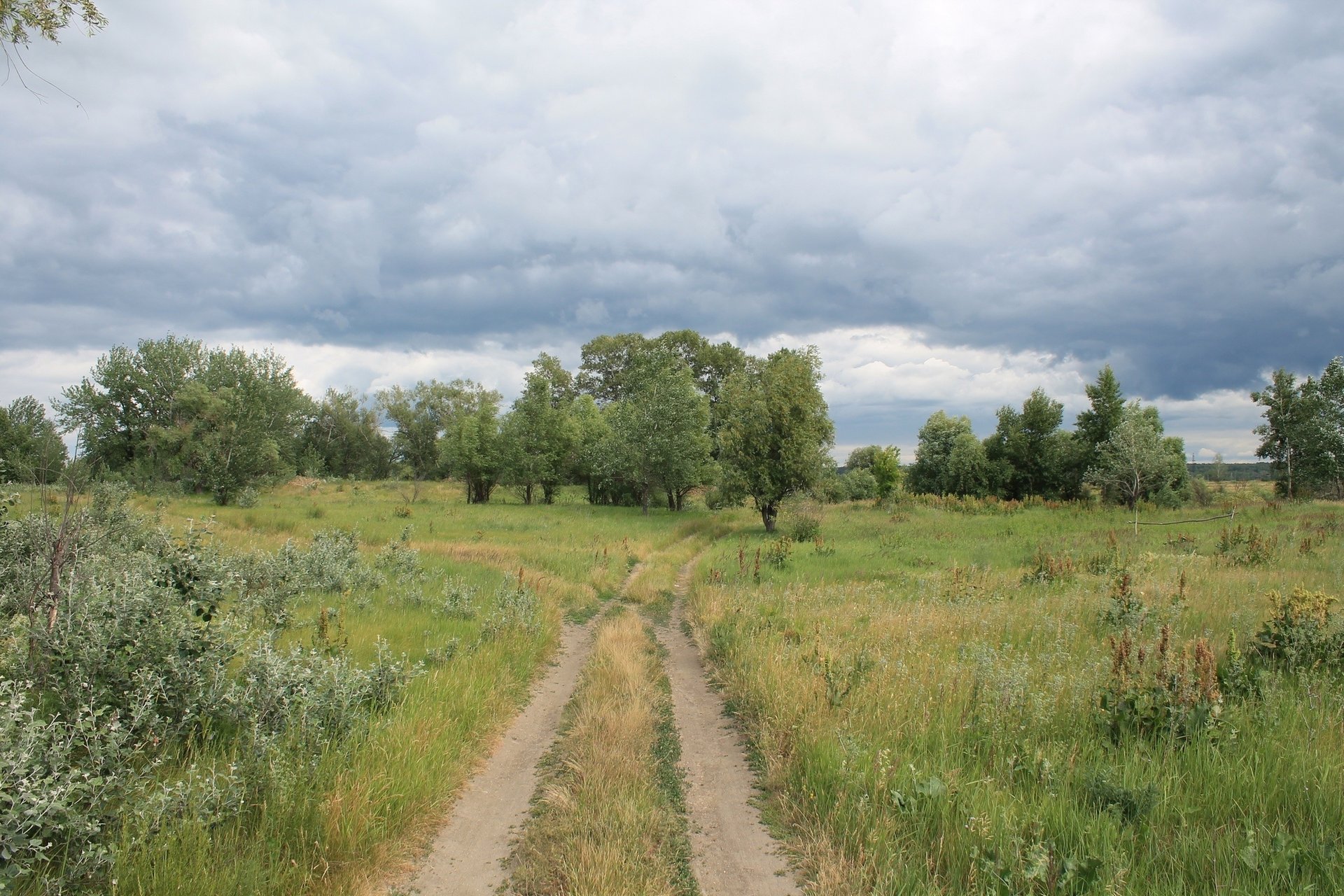 naturaleza paisaje caro campo bosque