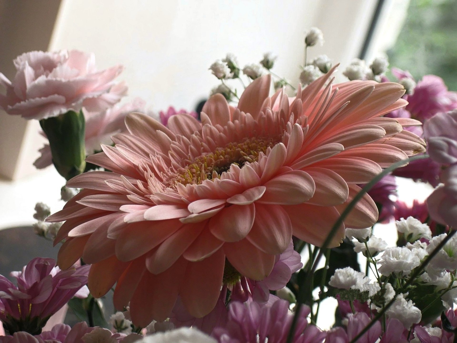 fiori bouquet gerbera rosa