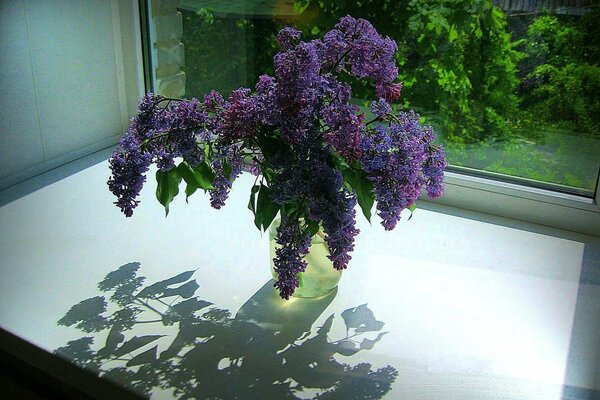 Ein Blumenstrauß aus Flieder steht auf der Fensterbank