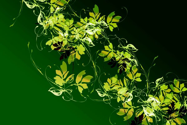 Vine leaf pattern on black background wallpaper