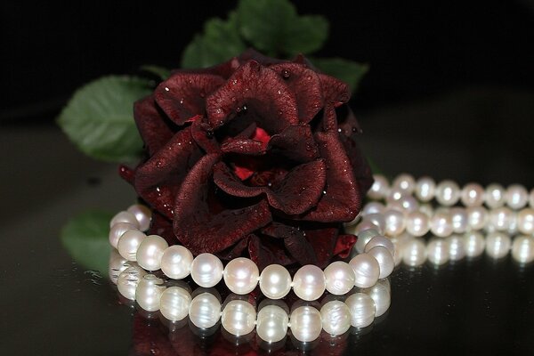 Pearl beads and rose flower