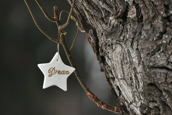 Christmas tree toy in the shape of a star on a tree