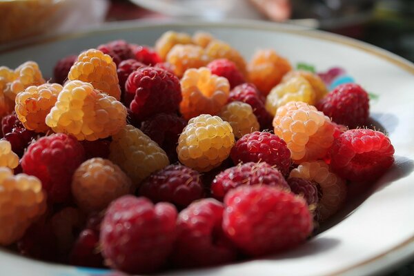 Red yellow and burgundy raspberries on a plate