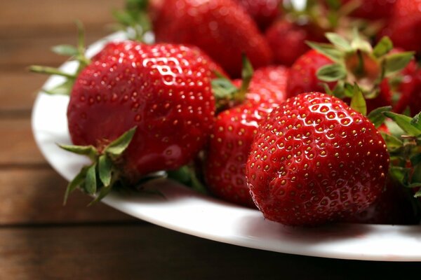 Frische Erdbeeren auf einem weißen Teller