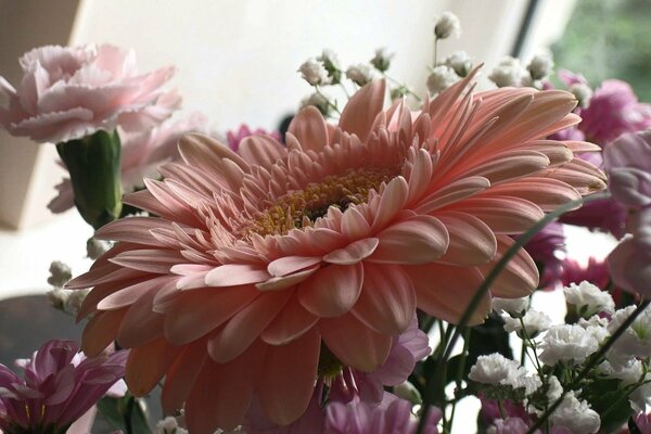 Delicate gerbera in a bouquet of carnations