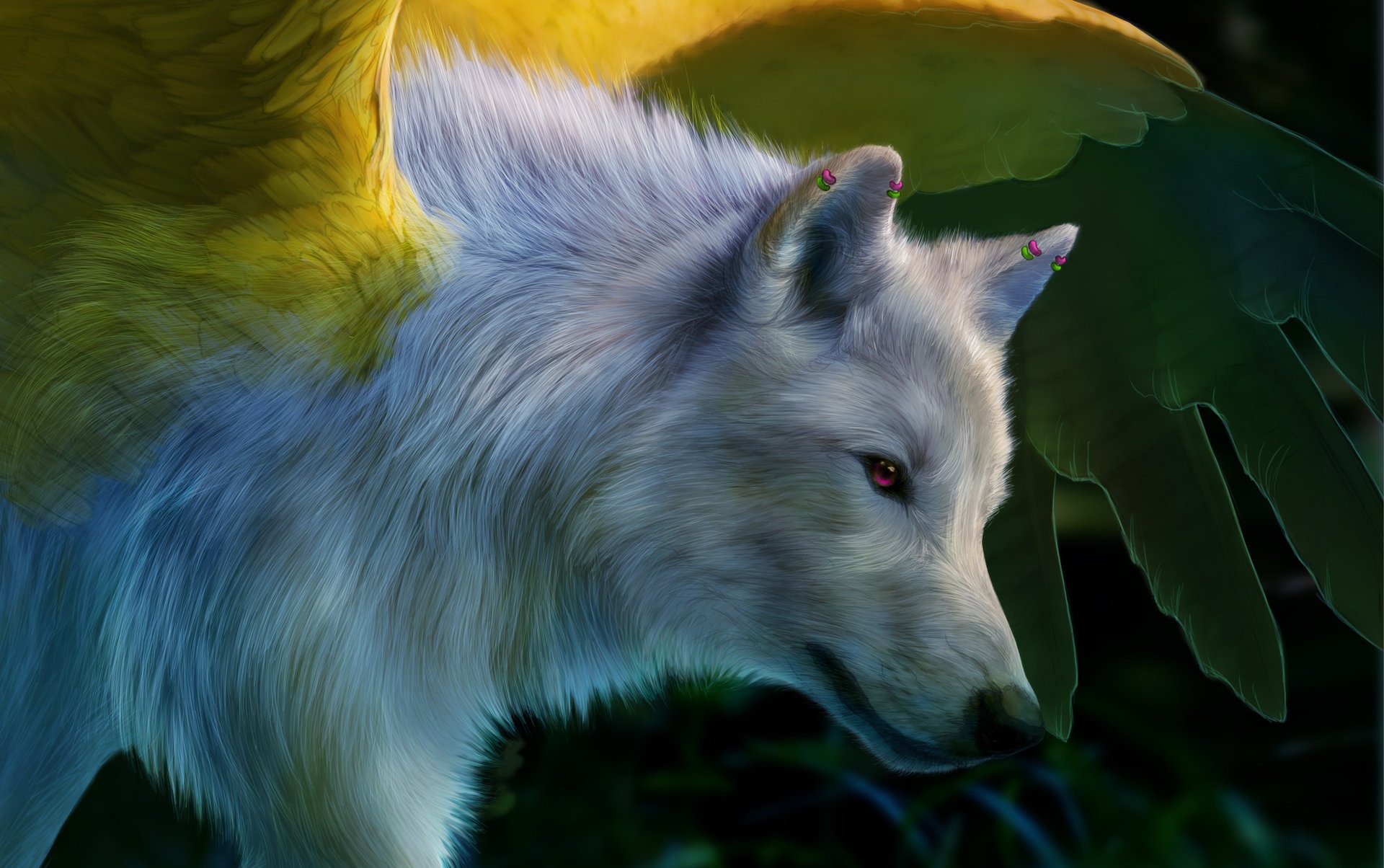 lobo blanco arte ojos rosados alas novawuff