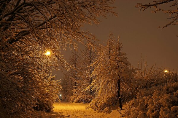 Parco invernale in una notte nevosa a Reykjavik