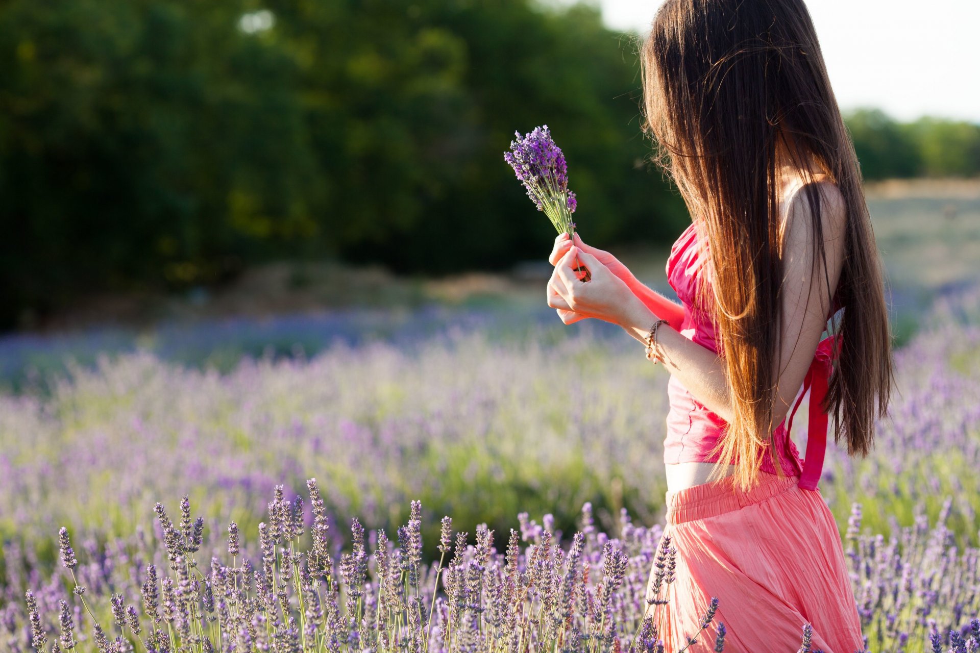 estado de ánimo chica morena campo flores púrpura manos naturaleza árboles hojas fondo pantalla ancha pantalla completa pantalla ancha fondo de pantalla