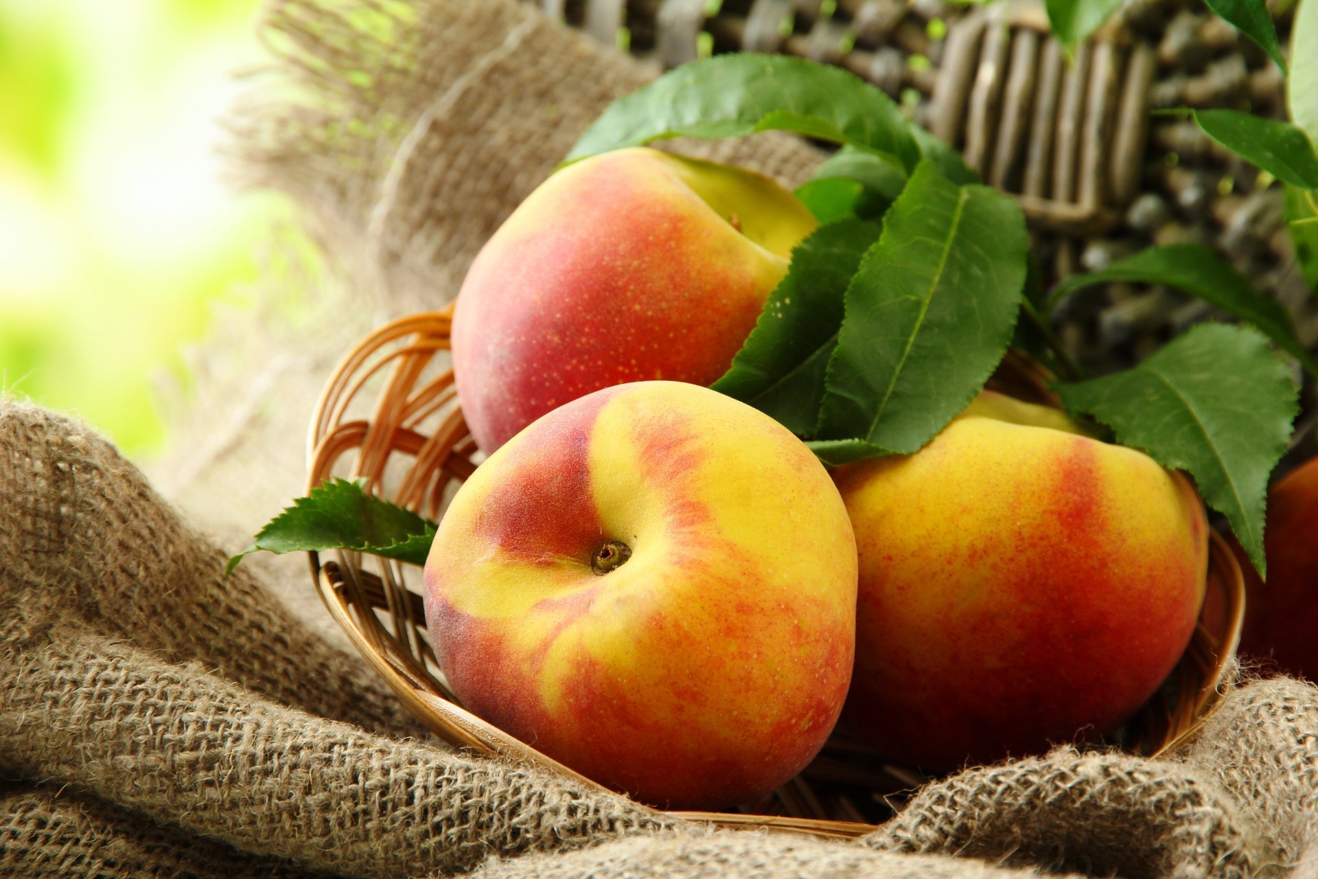 peaches summer basket leaves fruit