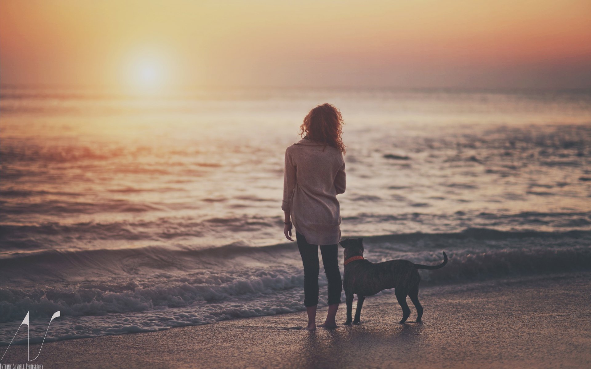 fille coucher de soleil chien eau soir lac