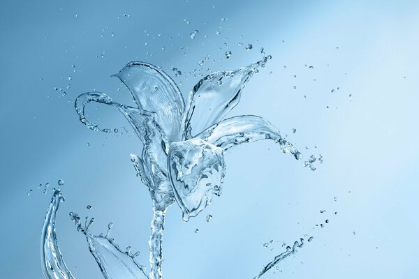 Water splashes, creatively shot in the form of a flower