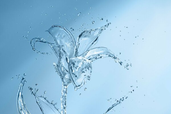 Брызги воды, креативно снятые в виде цветка