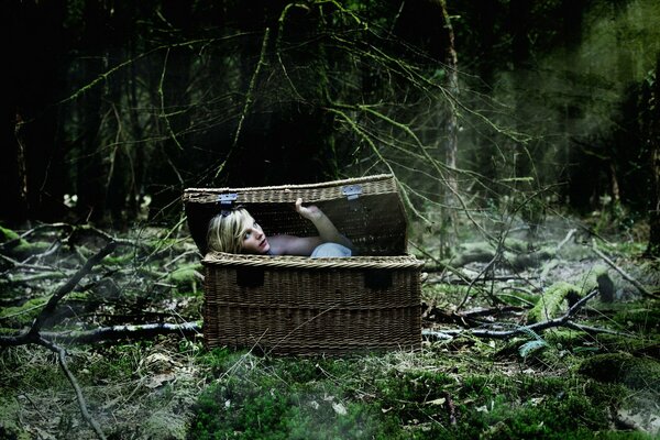 Fille dans un panier dans la situation de la forêt