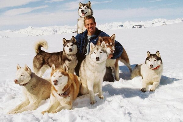 Paul Walker avec une meute de chiens