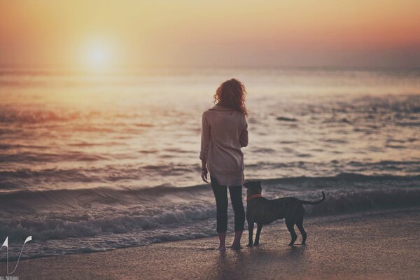 Fille avec un chien au bord du lac dans la soirée