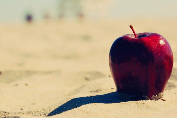Czerwone jabłko na piaszczystej plaży