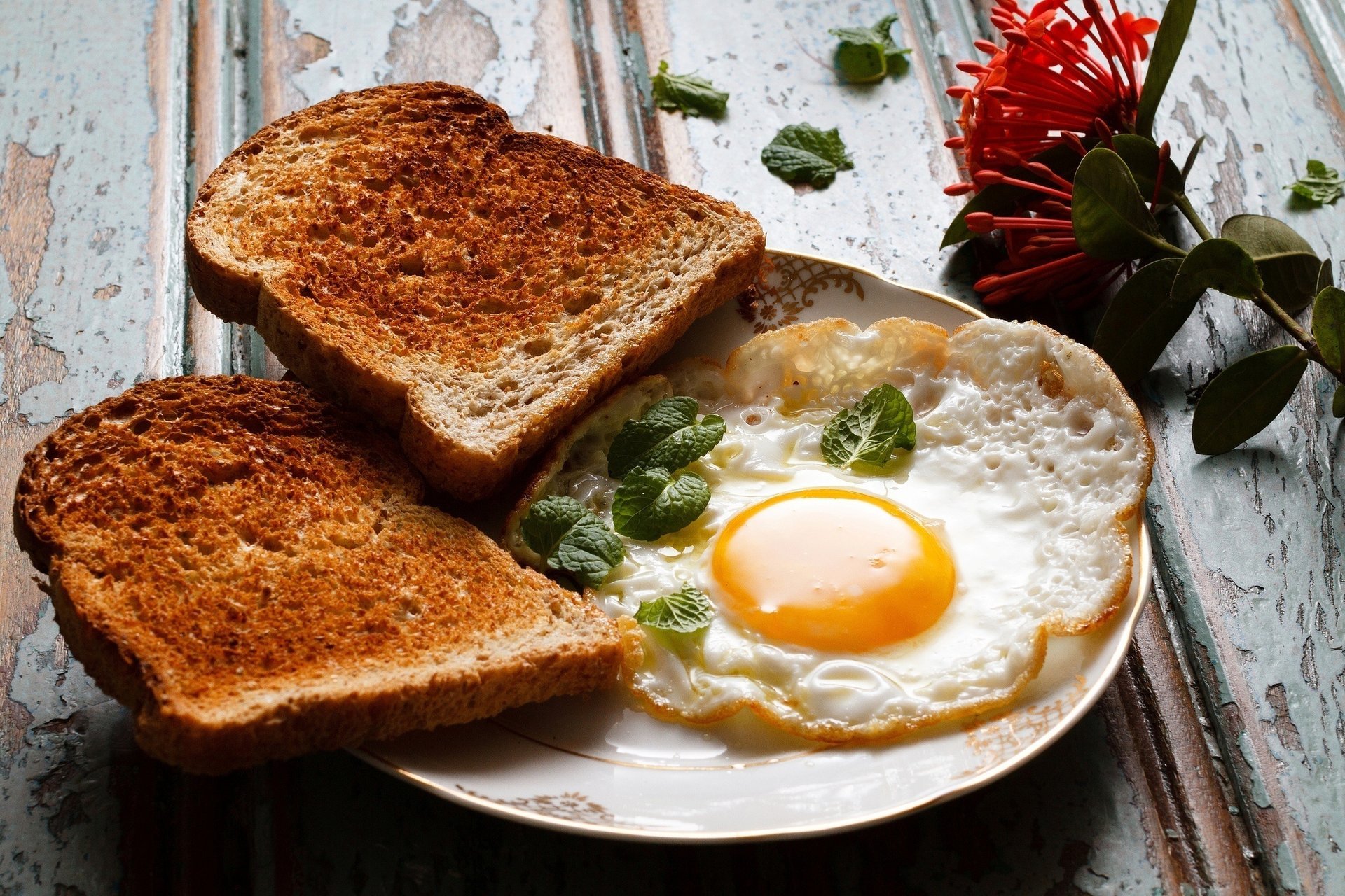 food scrambled eggs toast bread breakfast