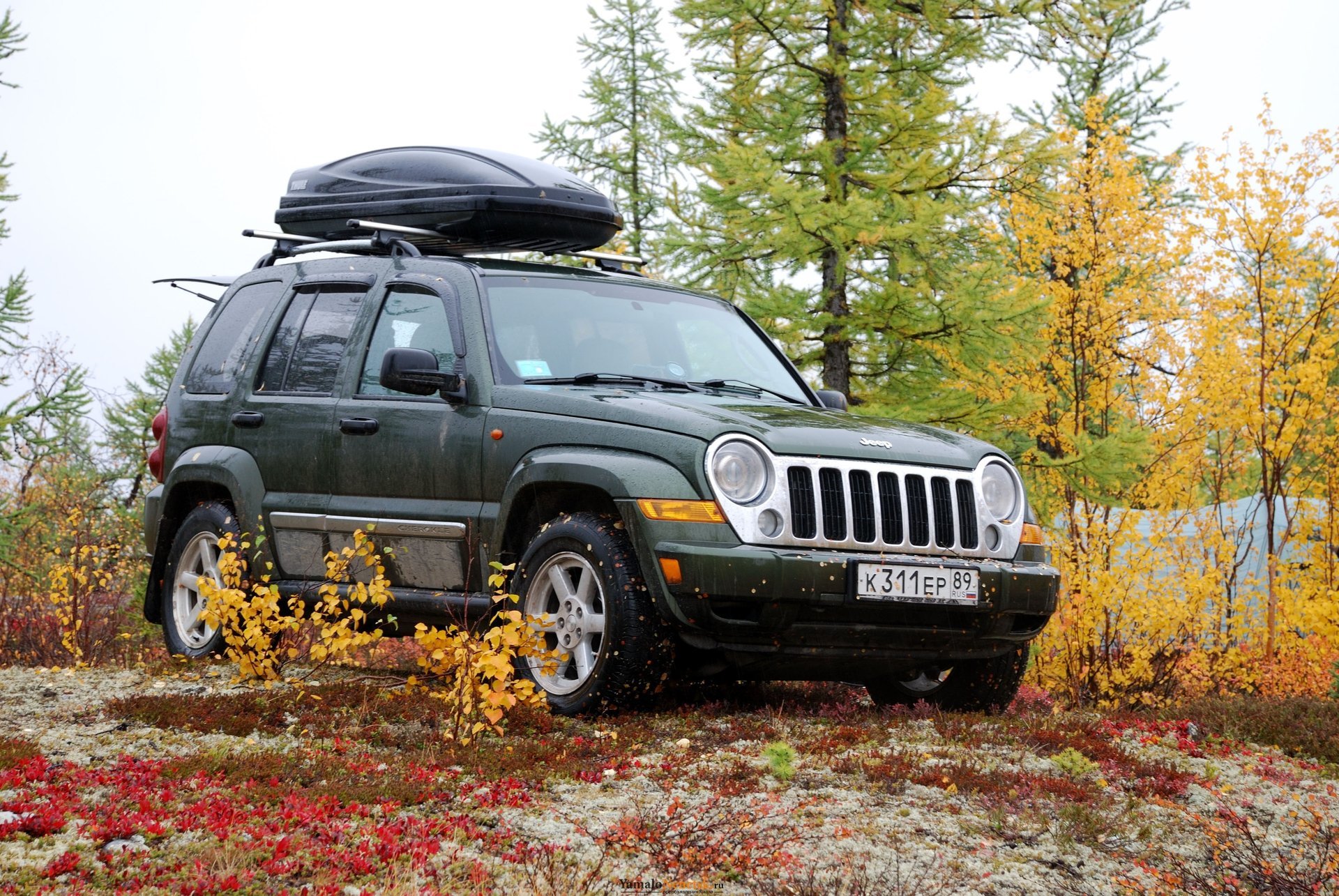 jeep suv forêt