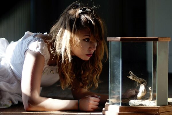 A girl looks at a snake in an aquarium