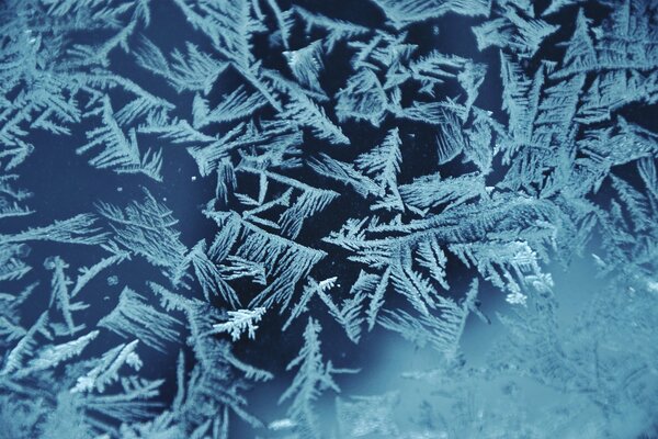 Beautiful winter pattern on the glass