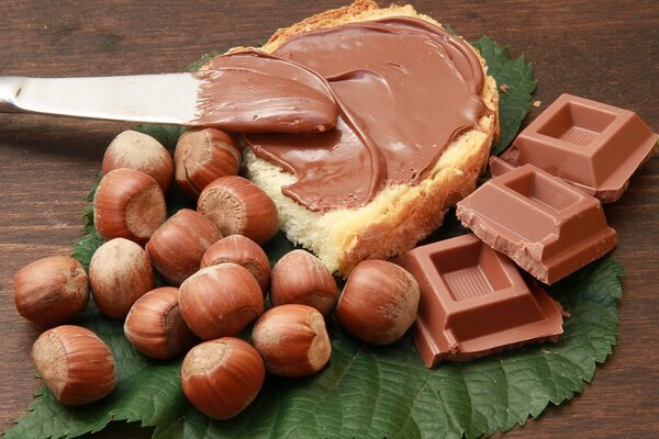 Meravigliosa colazione al cioccolato ad esso nocciole e forze di carica