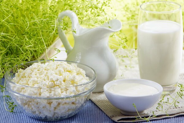 Milk jug and cottage cheese this breakfast is very expensive