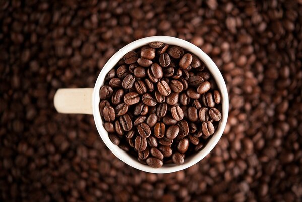 Kaffeebohnen auf einer weißen Tasse mit unscharfem Fokus