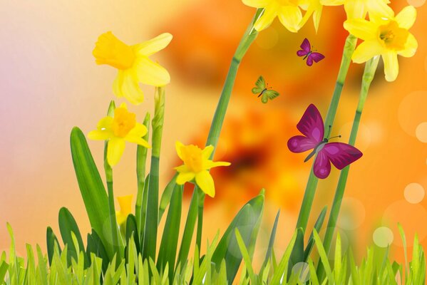 Yellow daffodils and butterflies on a spring green meadow