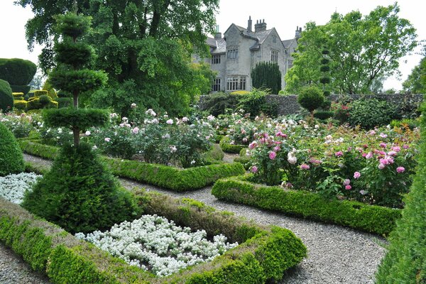 Castello fresco, design del giardino con fiori