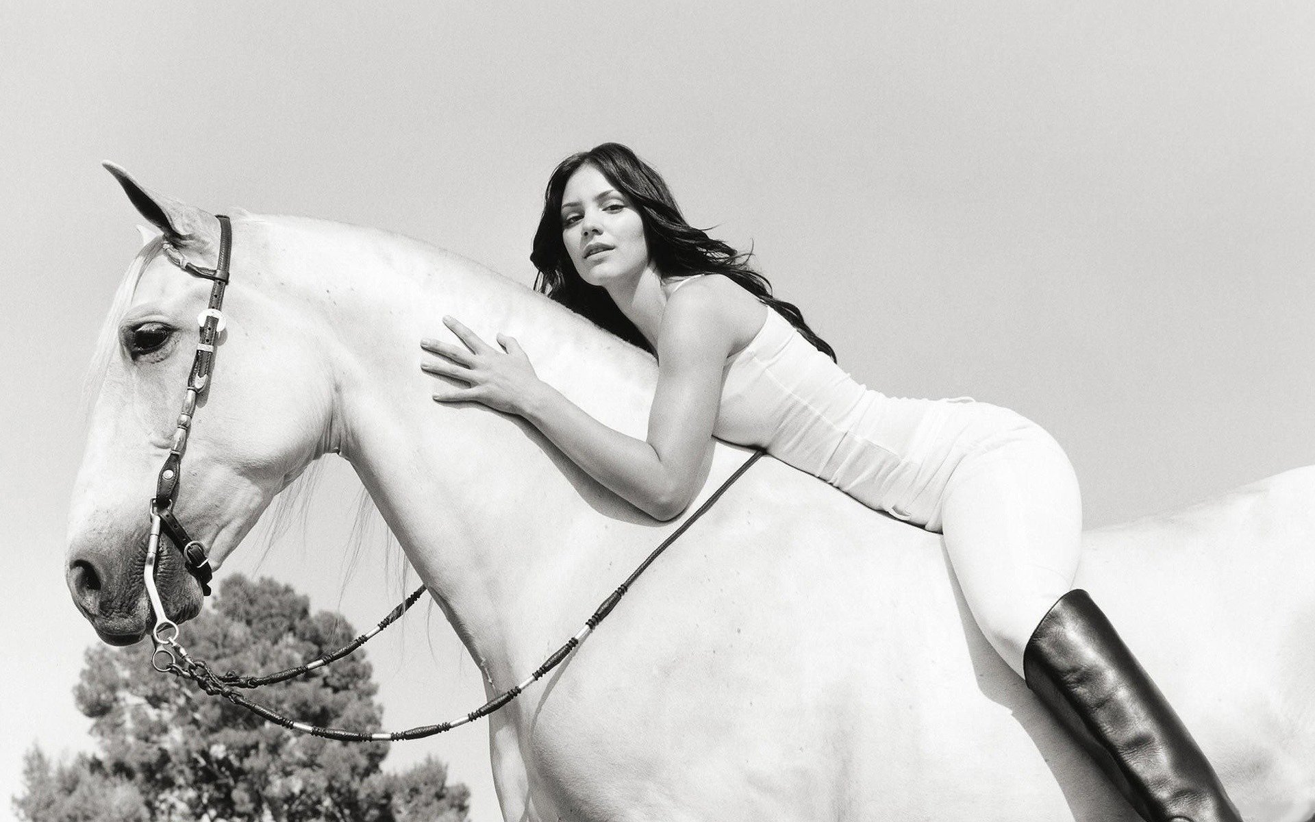 fille cheval chanteur mcphee catherine mcphee