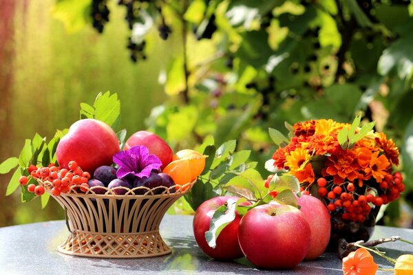 Autumn still life with apples and mountain ash