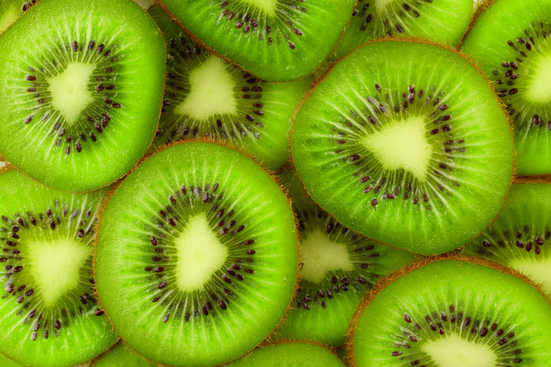 kiwi fruta rebanada fresco rebanadas