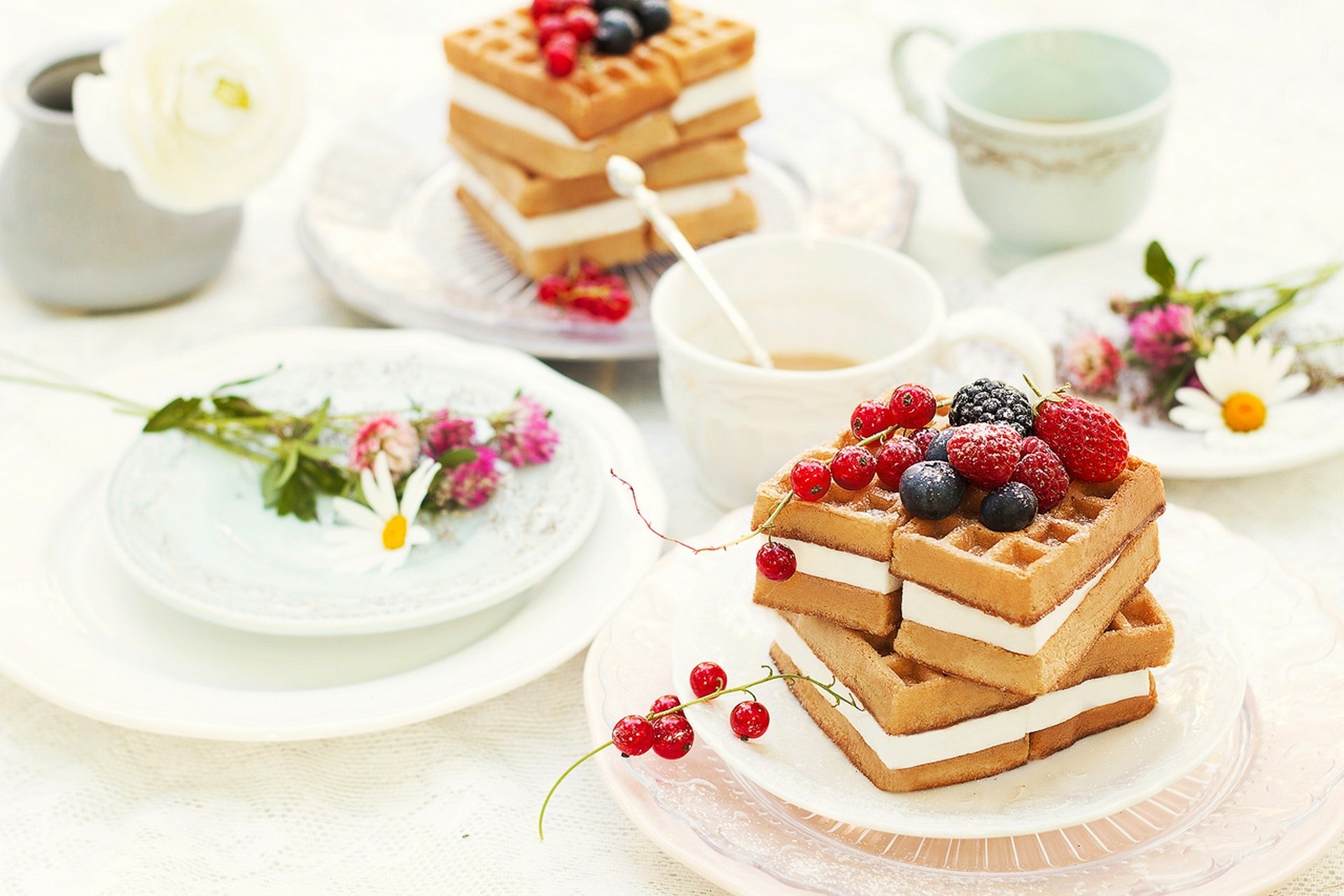 dessert kuchen süß lebensmittel himbeeren brombeeren blaubeeren rote johannisbeeren tee blumen lebensmittel creme waffeln himbeeren