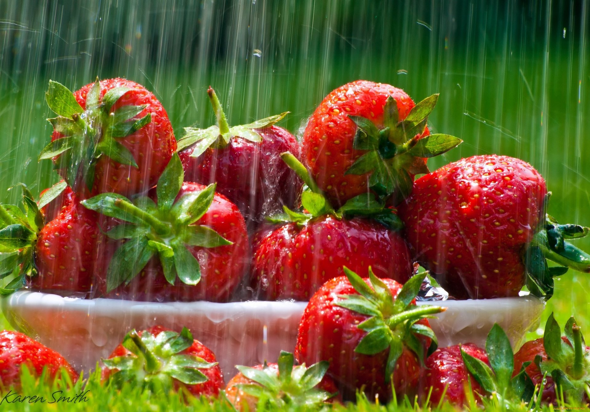 cibo fragola piatto erba foglie volantini prato pioggia gocce luce raggi rosso