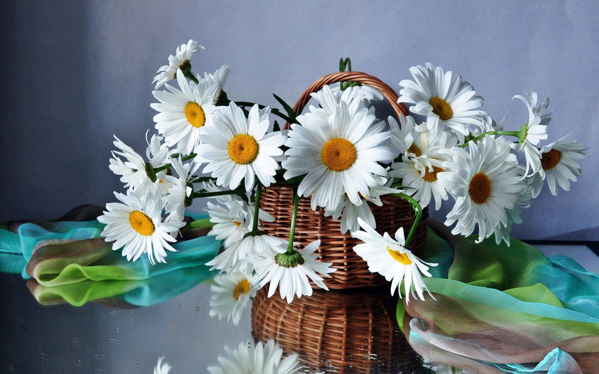 bouquet marguerites joliment