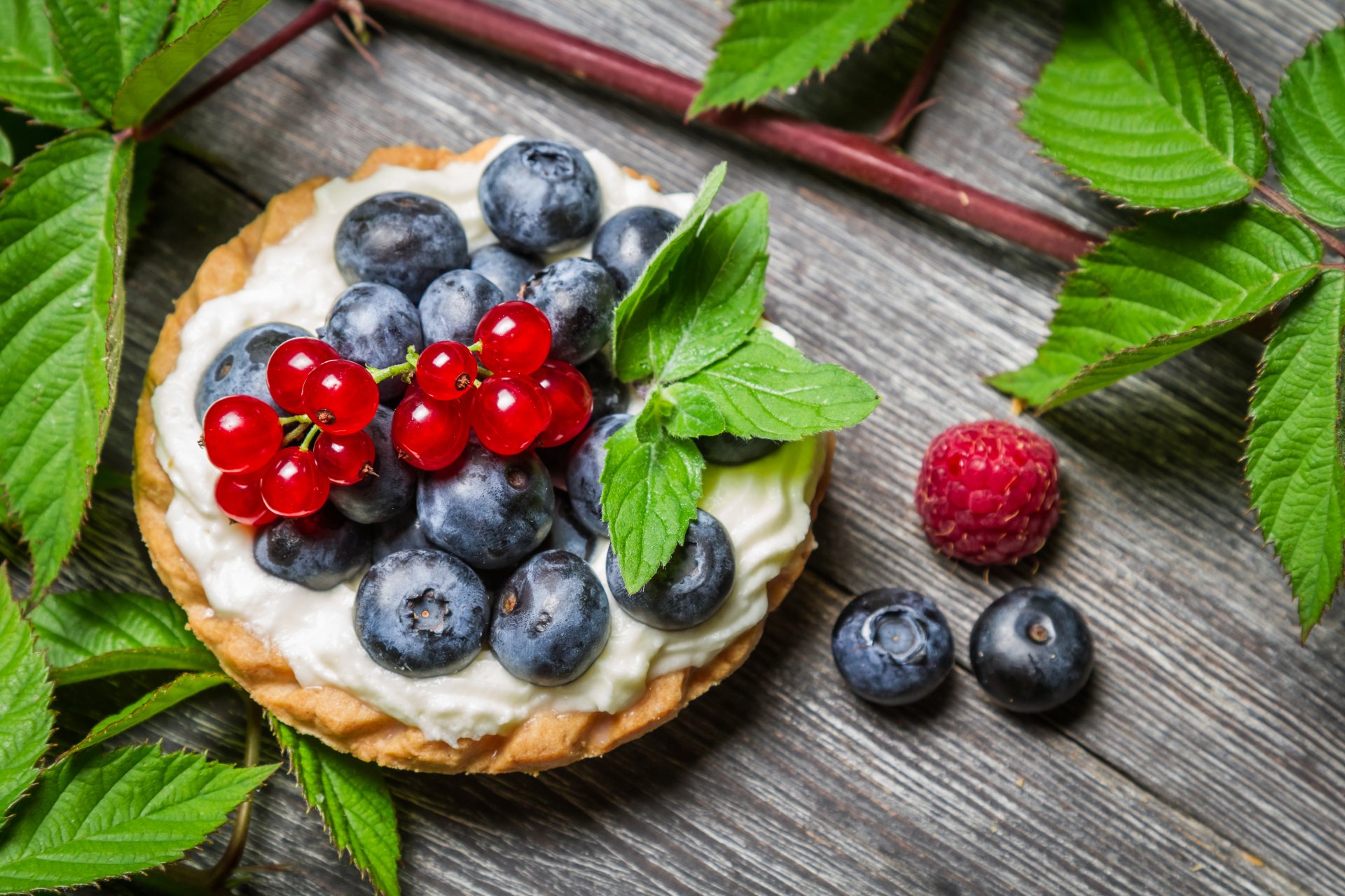 delicious dessert berry cupcake mint leaves raspberry leaves fruit cake mint leave