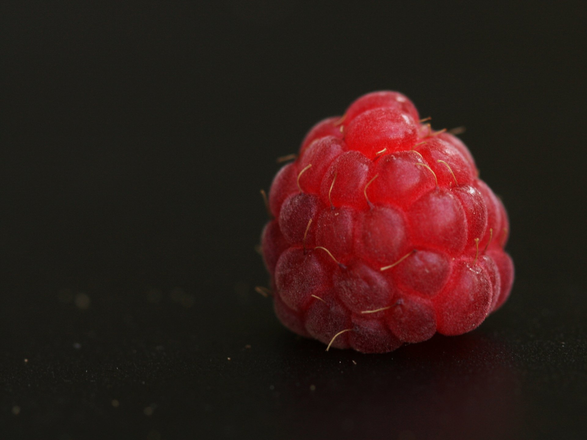 berry red raspberry dark background