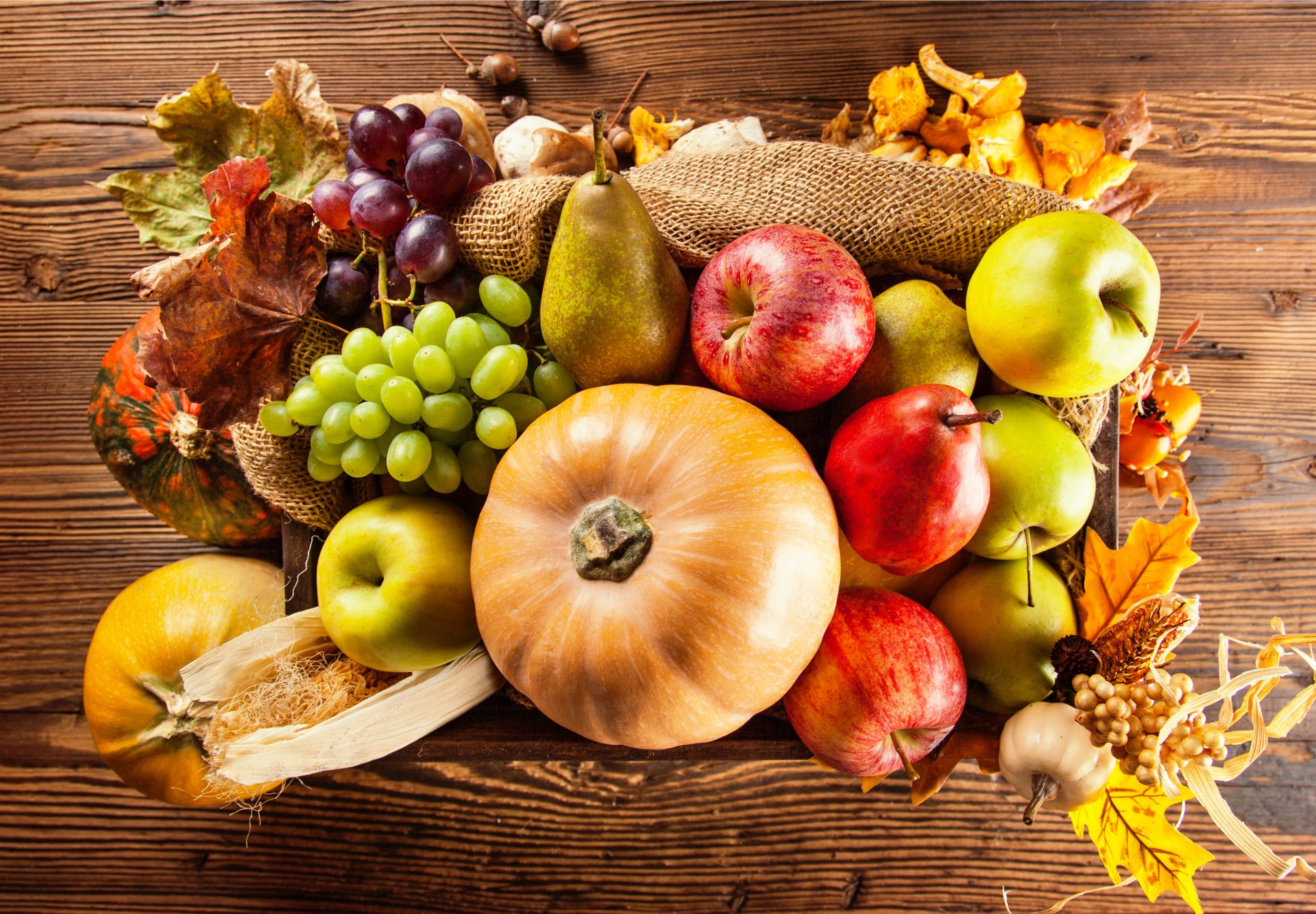 automne récolte légumes fruits poires citrouilles pommes raisins