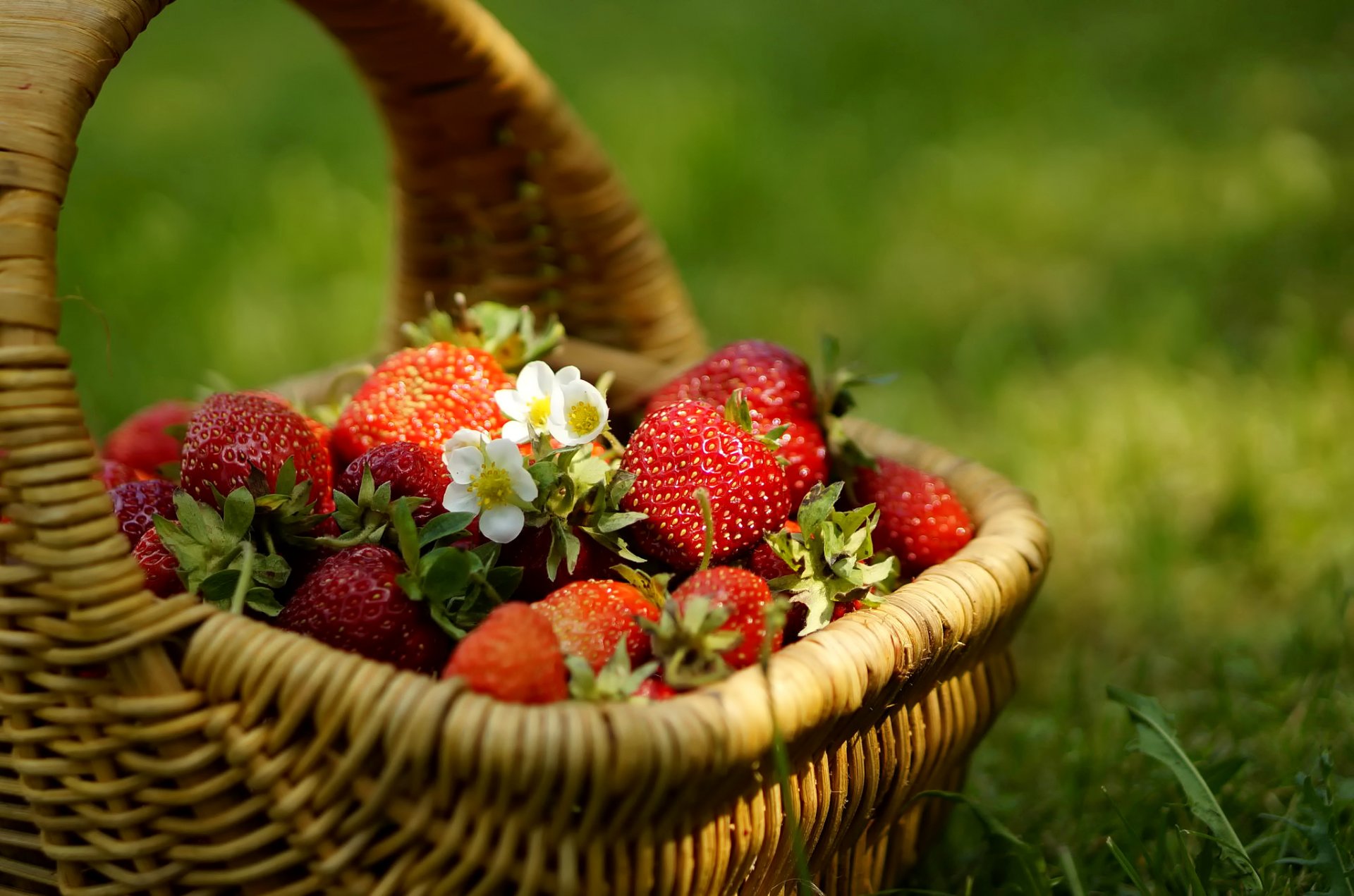 erdbeeren beeren blumen korb gras