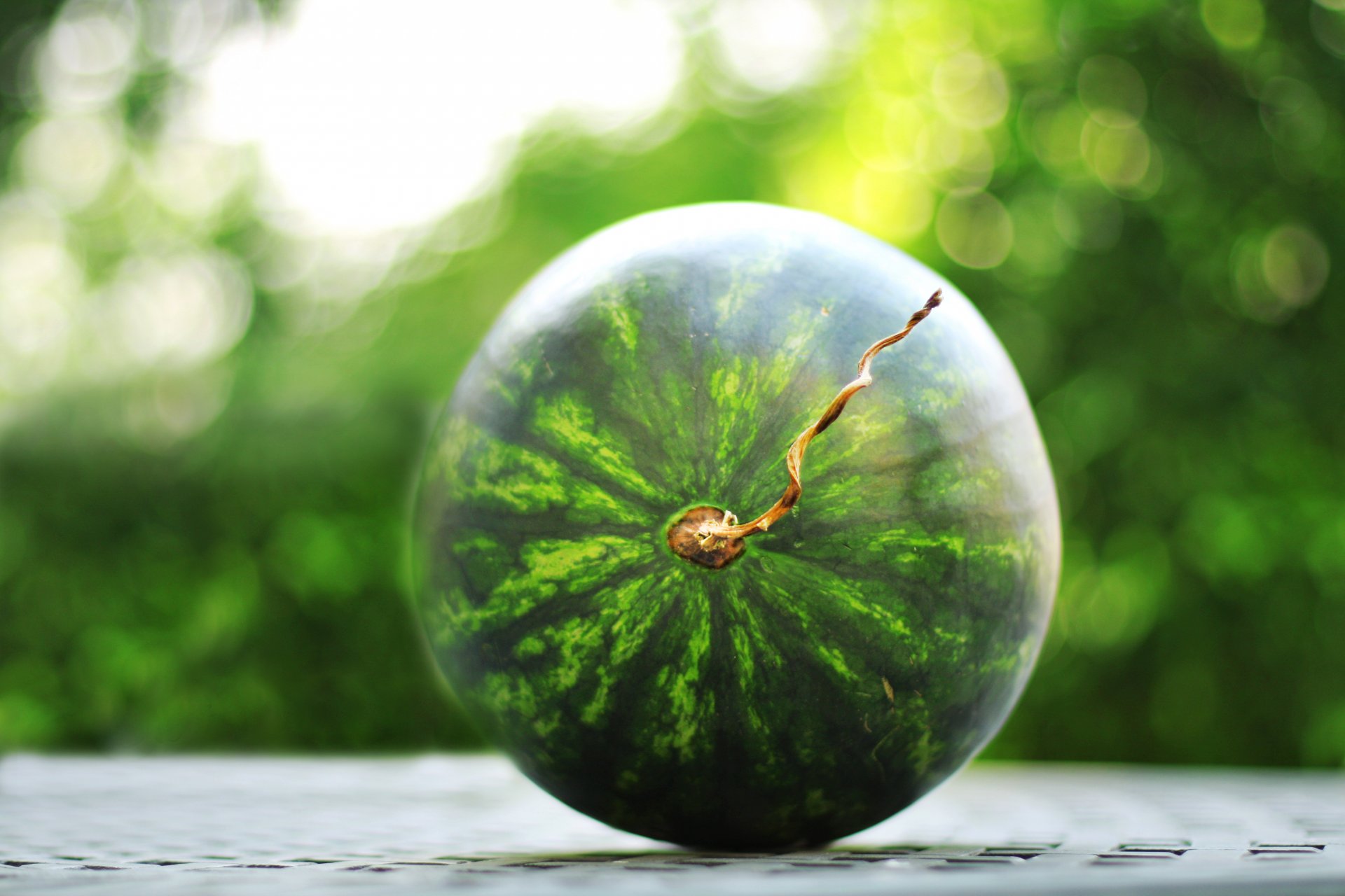 wassermelone streifen grün