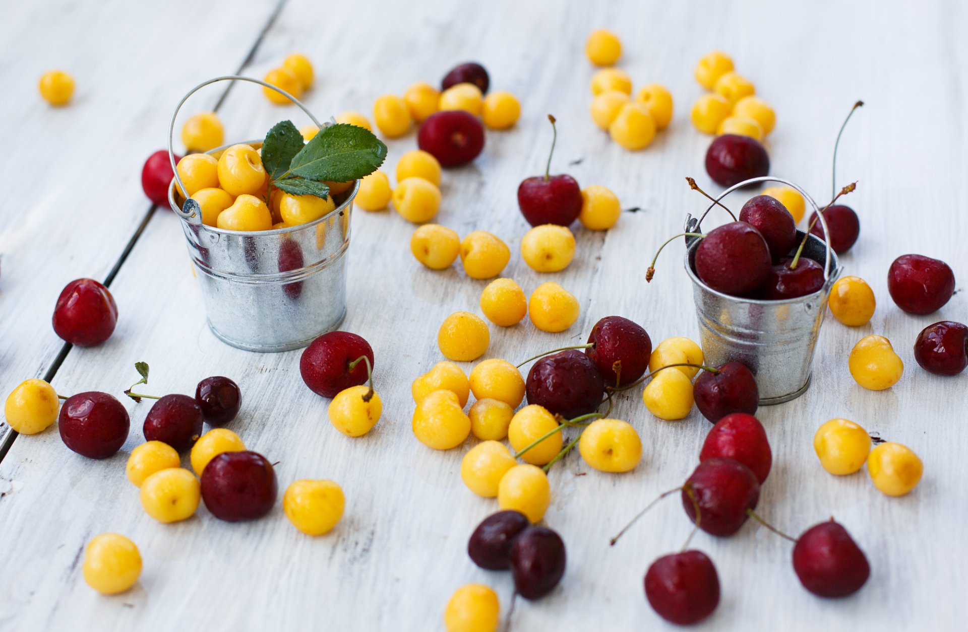 kirschen kirschen beeren gelb rot eimer julia husainova