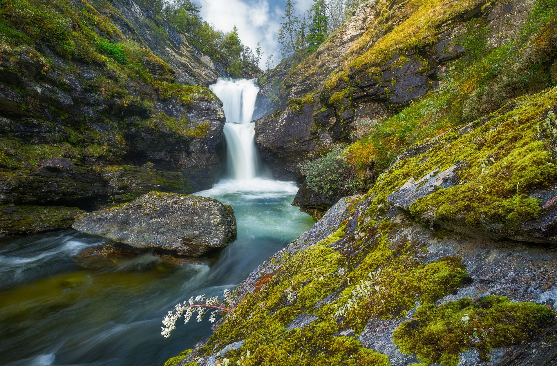 rondane natura norvegia parco nazionale rocce fiume cascata